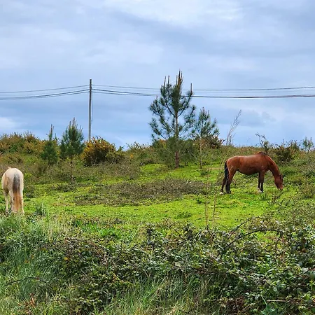בית כפרי Casa Avo Judite - Castelo