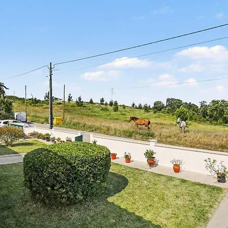 Casa Avo Judite - Castelo Обидуш