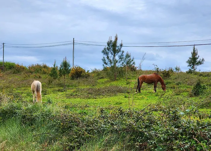 Country house Casa Avo Judite - Castelo